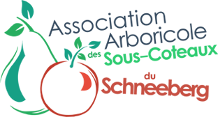 logo association Schneeberg