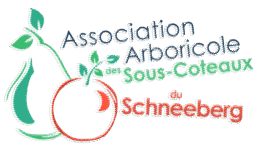 Association Schneeberg